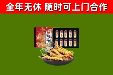 兴宾回收冬虫夏草价格