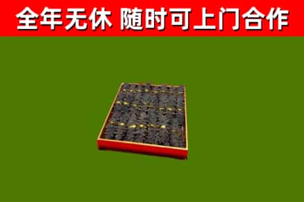 兴宾回收海参